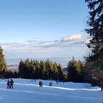 Brunarica 6A - Pohorje - Trije Kralji - Pohodnistvo In Gorsko Kolesarstvo *