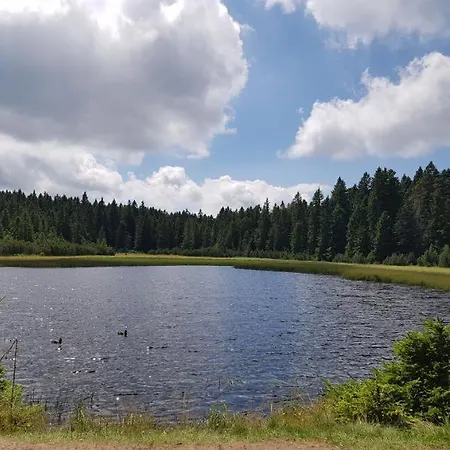 Brunarica 6a - Pohorje - Trije Kralji - Druzinsko Smucisce Oplotnica