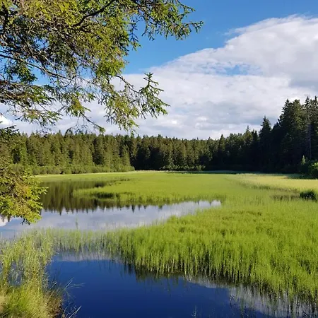 Brunarica 6a - Pohorje - Trije Kralji - Druzinsko Smucisce * Oplotnica