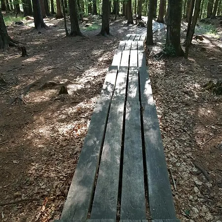 Apartmán Brunarica 6a - Pohorje - Trije Kralji - Druzinsko Smucisce Oplotnica