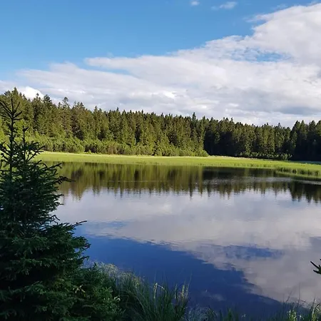 Apartmán Brunarica 6a - Pohorje - Trije Kralji - Druzinsko Smucisce