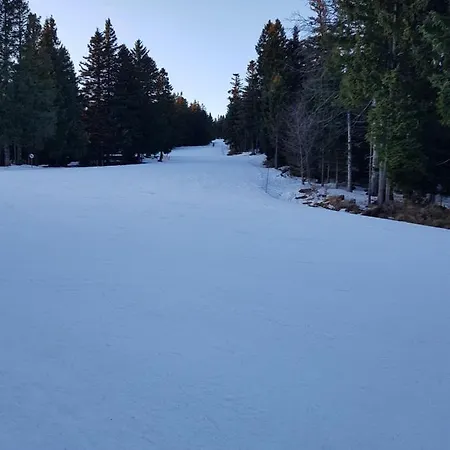 Brunarica 6a - Pohorje - Trije Kralji - Pohodnistvo In Gorsko Kolesarstvo Oplotnica