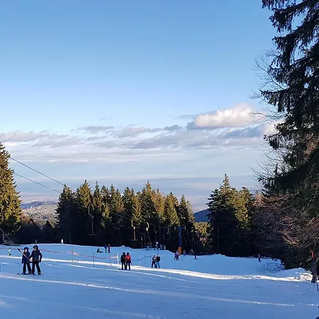 Brunarica 6a - Pohorje - Trije Kralji - Druzinsko Smucisce *