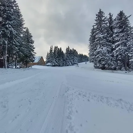 Brunarica 6a - Pohorje - Trije Kralji - Druzinsko Smucisce Apartmán *