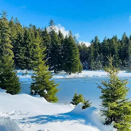 Brunarica 6a - Pohorje - Trije Kralji - Druzinsko Smucisce *