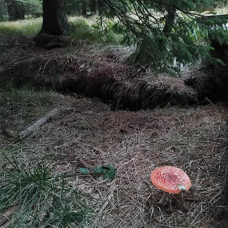 Brunarica 6a - Pohorje - Trije Kralji - Druzinsko Smucisce Oplotnica