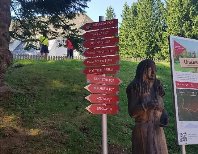 Brunarica 6a - Pohorje - Trije Kralji - Druzinsko Smucisce דירה *