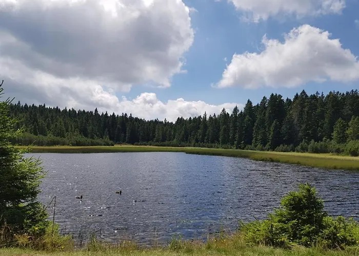 Brunarica 6a - Pohorje - Trije Kralji - Druzinsko Smucisce Oplotnica