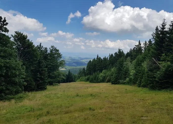 דירה Brunarica 6a - Pohorje - Trije Kralji - Druzinsko Smucisce *