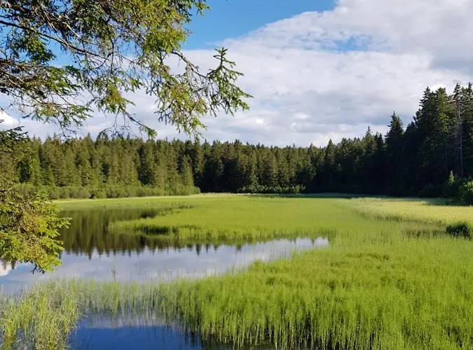 Brunarica 6a - Pohorje - Trije Kralji - Druzinsko Smucisce * Oplotnica