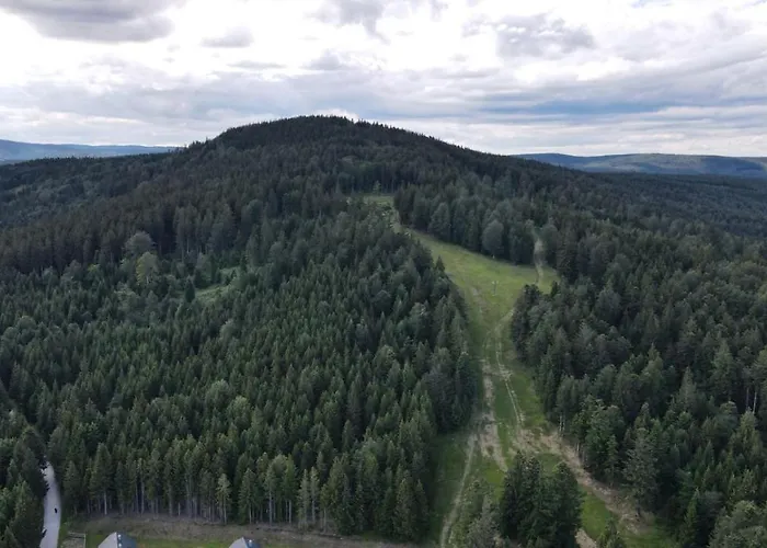 Brunarica 6a - Pohorje - Trije Kralji - Druzinsko Smucisce דירה Oplotnica