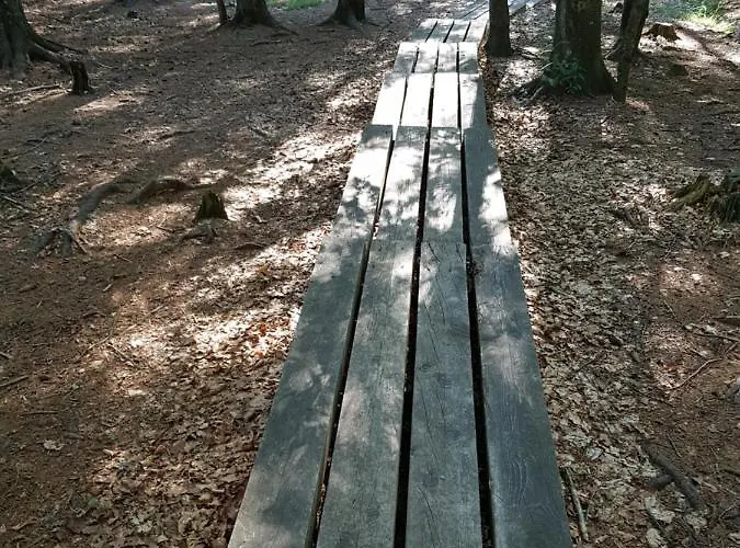 דירה Brunarica 6a - Pohorje - Trije Kralji - Druzinsko Smucisce Oplotnica