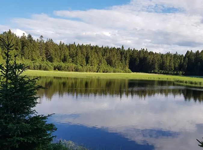 דירה Brunarica 6a - Pohorje - Trije Kralji - Druzinsko Smucisce