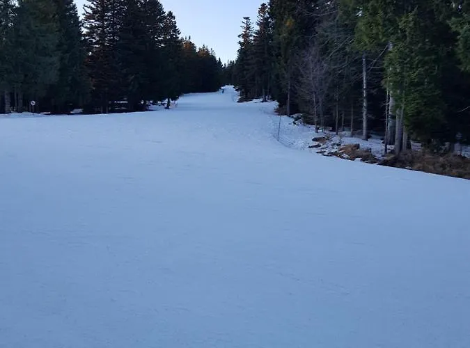 Brunarica 6a - Pohorje - Trije Kralji - Druzinsko Smucisce Oplotnica