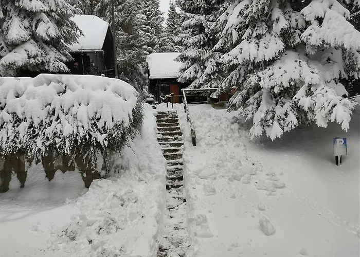 Brunarica 6a - Pohorje - Trije Kralji - Druzinsko Smucisce *