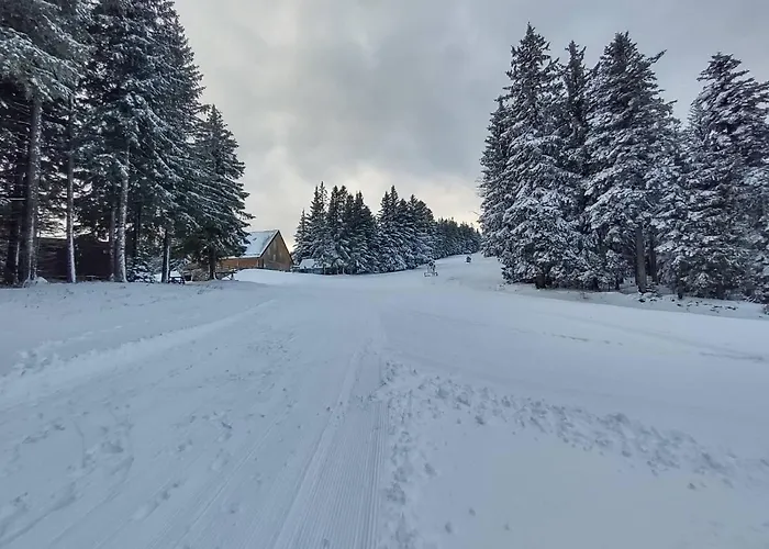 Brunarica 6a - Pohorje - Trije Kralji - Druzinsko Smucisce דירה *