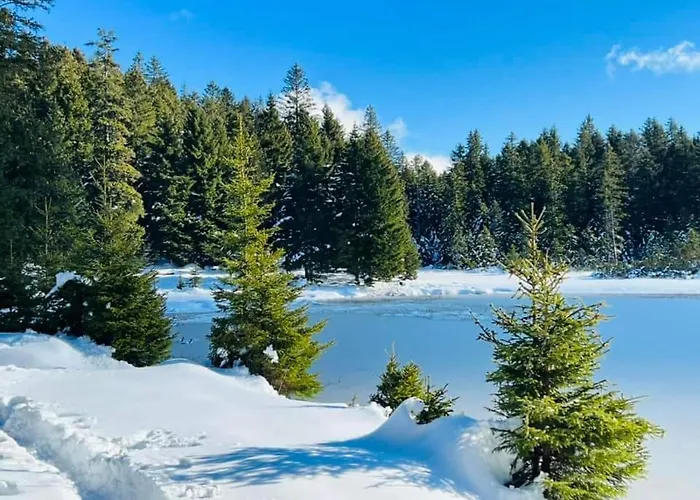 Brunarica 6a - Pohorje - Trije Kralji - Druzinsko Smucisce *
