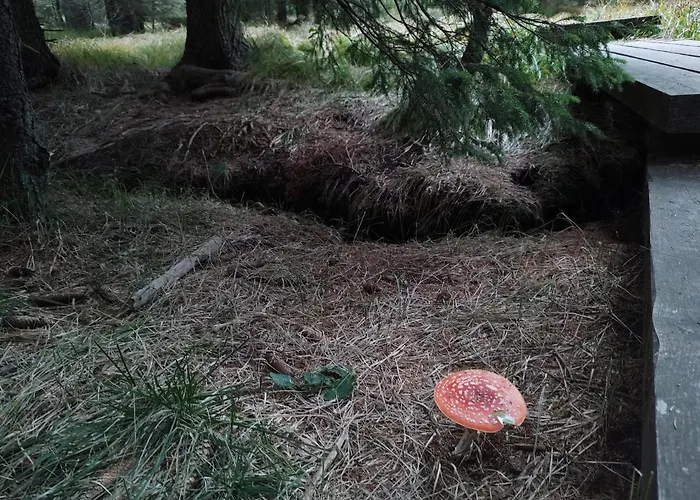 Brunarica 6a - Pohorje - Trije Kralji - Druzinsko Smucisce Oplotnica