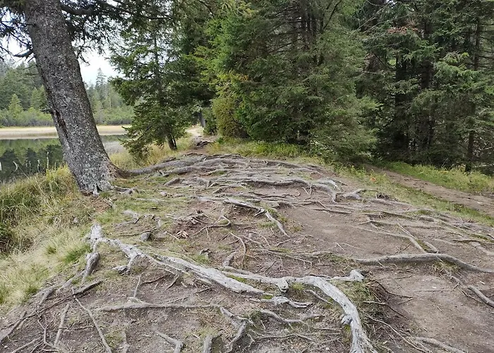 Brunarica 6a - Pohorje - Trije Kralji - Druzinsko Smucisce דירה